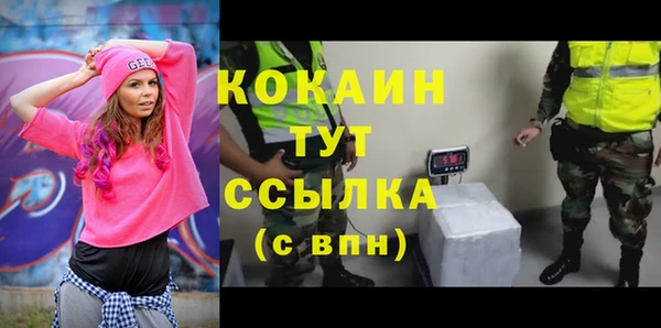ГАЛЛЮЦИНОГЕННЫЕ ГРИБЫ Вязьма