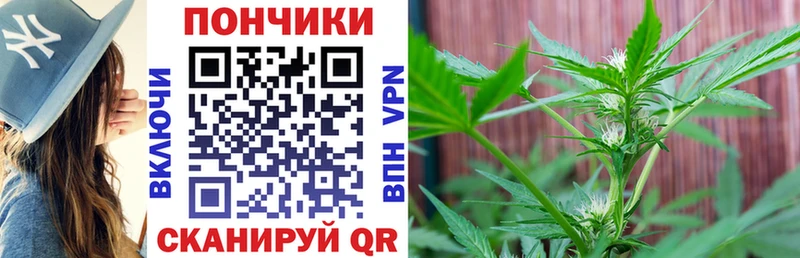 Купить закладки  Гусиноозёрск  Бошки марихуана ГИДРОПОН 